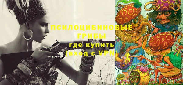 гашик Заволжск