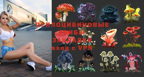 гашик Заволжск