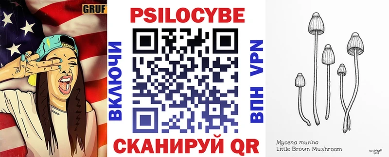 hydra зеркало  Новохопёрск  Галлюциногенные грибы GOLDEN TEACHER 